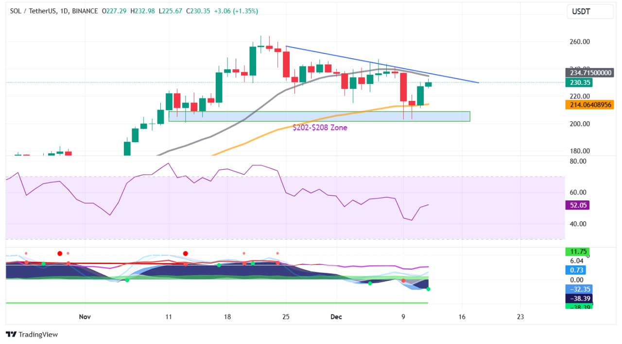 Solana Set For A New All-Time Excessive? Knowledgeable Factors To A Important Value Breakout | Bitcoinist.com Solana Set For A New All-Time Excessive? Knowledgeable Factors To A Important Value Breakout | Bitcoinist.com